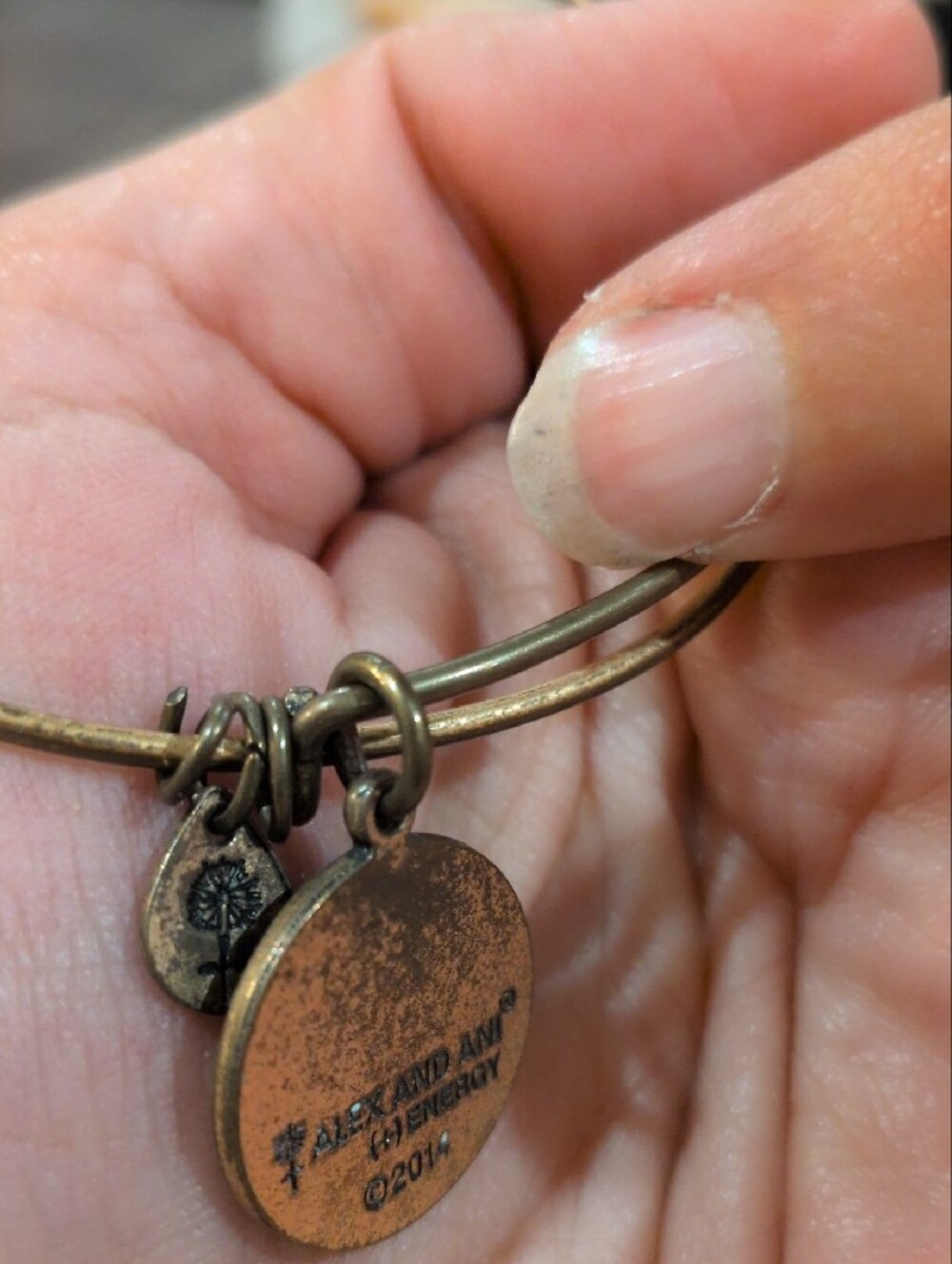 Alex and‎ Ani Path of Life Charm Bangle Bracelet - Rafaelian Gold Finish - Picture 4 of 5